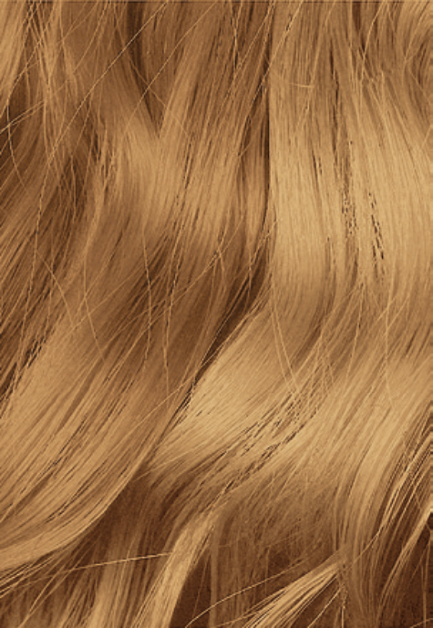 Indola Color Style Mousse Honey Blonde 200ml