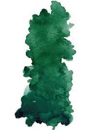 Punky 3-1 Shampoo Greengario 250ml