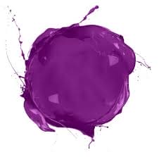 Punky Purple 100ml