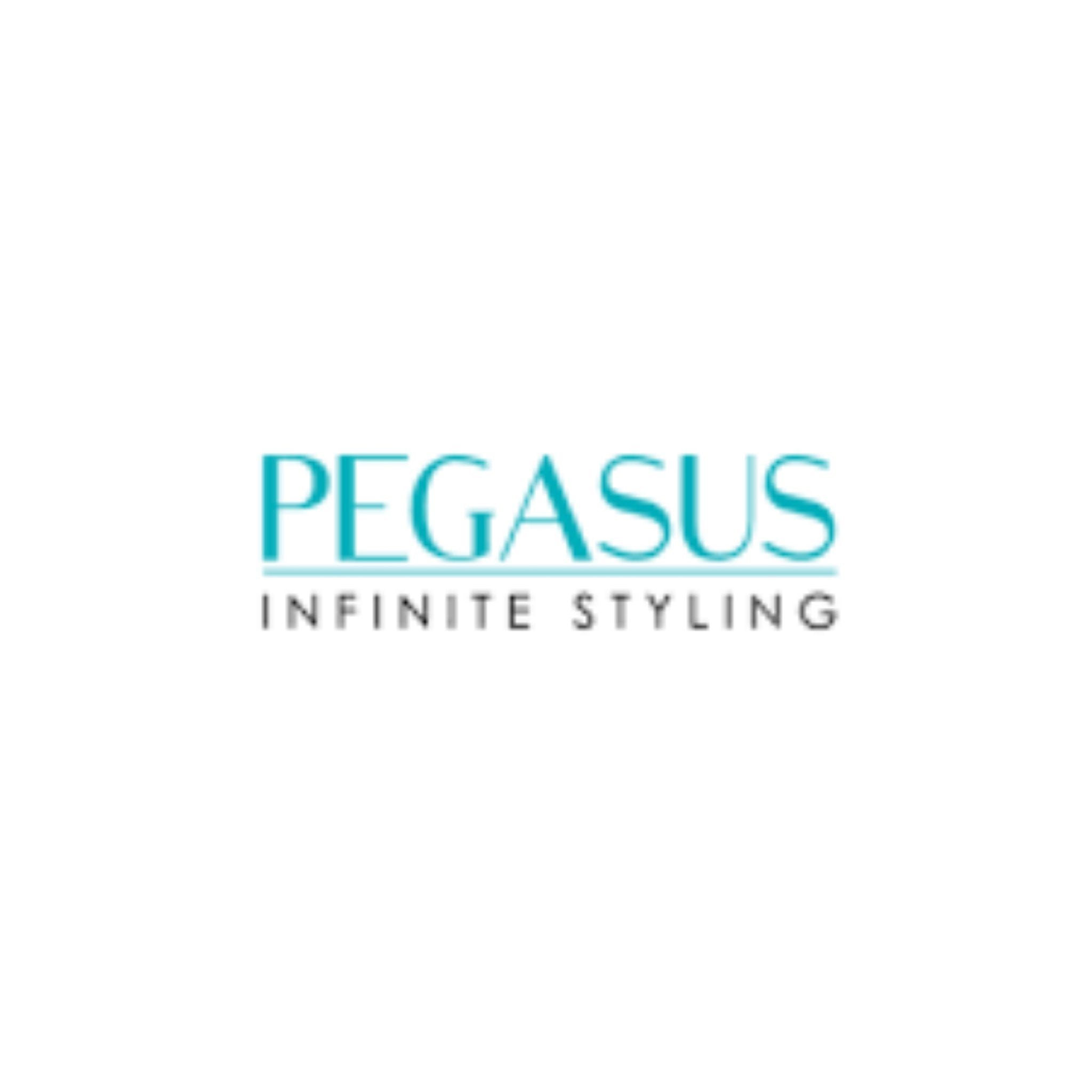 Pegasus Infinite Styling - HairBeautyInk