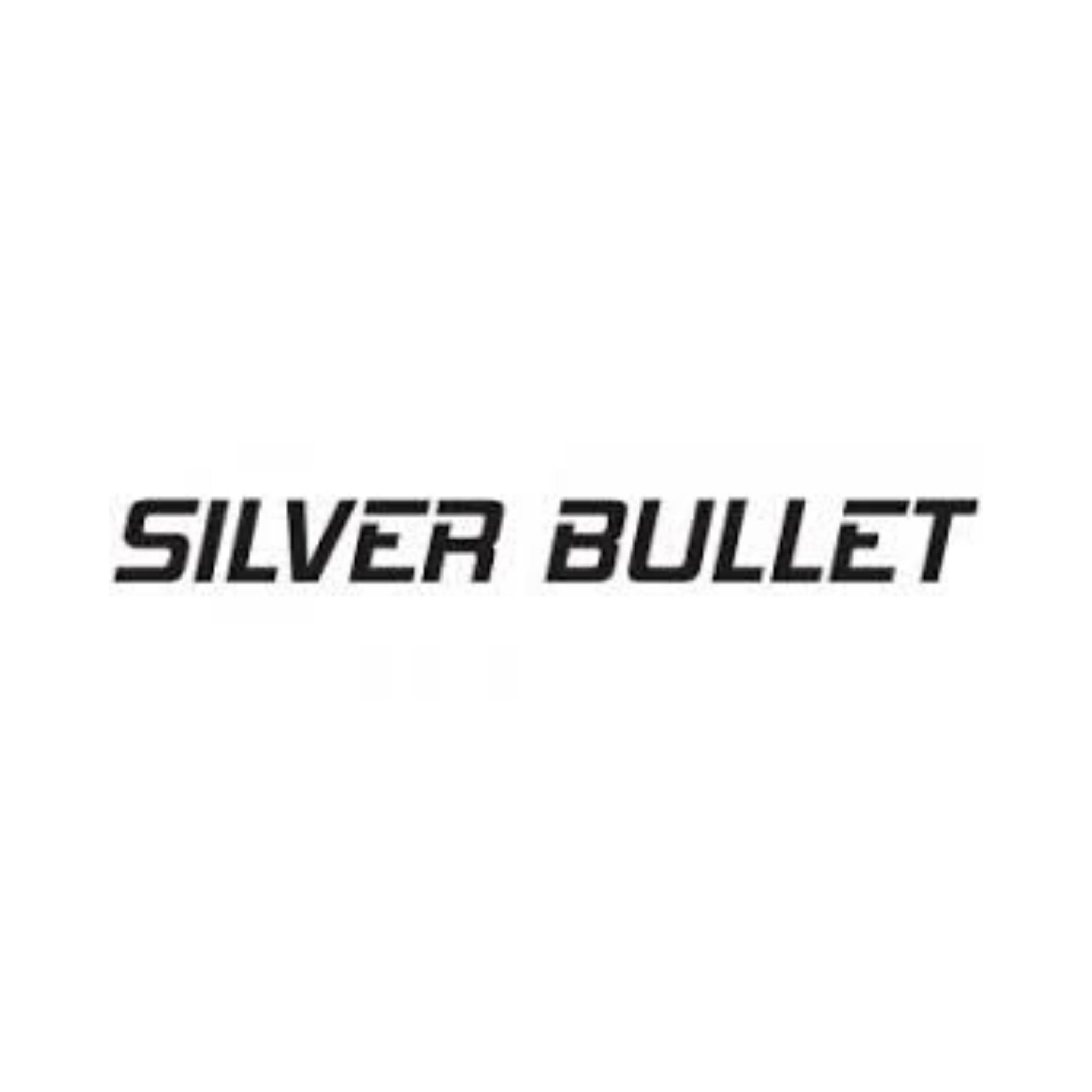 Silver Bullet - HairBeautyInk
