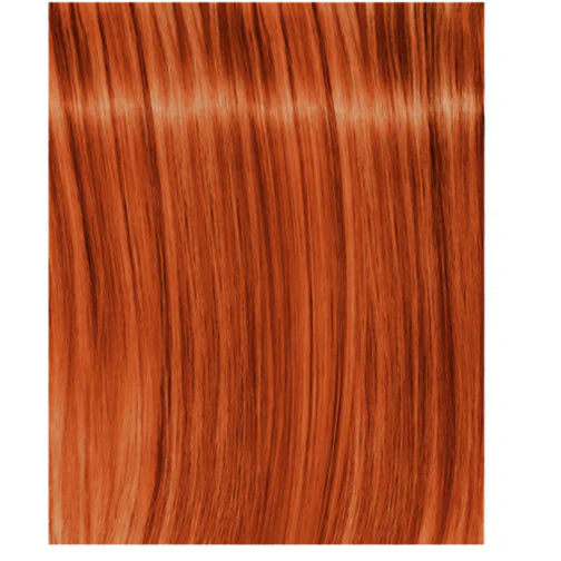 Schwarzkopf IGORA ROYAL FASHION LIGHTS L-77