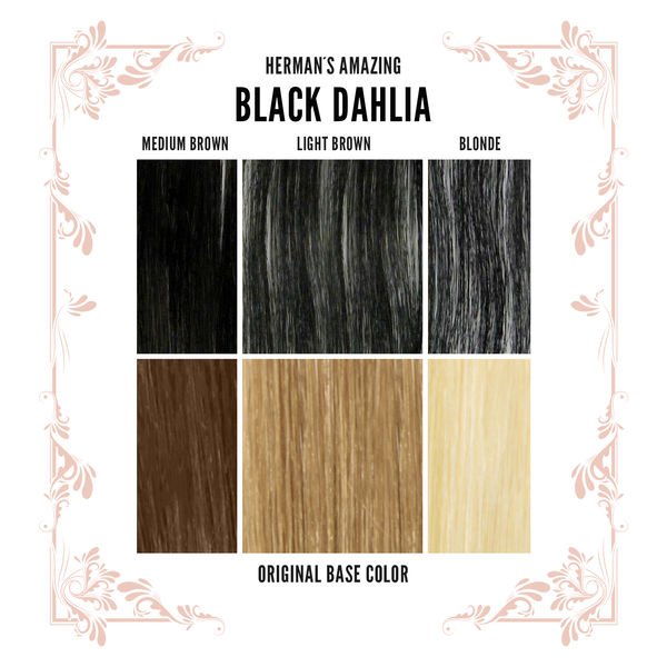 Herman's Amazing Black Dahlia - HairBeautyInk