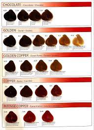 Ink Colour Chart - HairBeautyInk